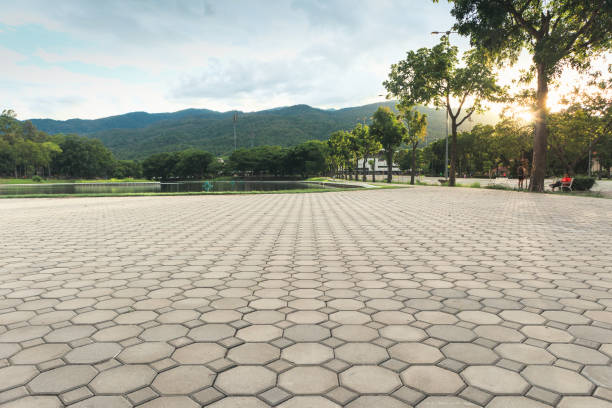 Best Decorative Driveway Pavers  in Dixon Lane Meadow Creek, CA